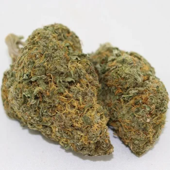 Blue Cheese TA Marijuana Strain