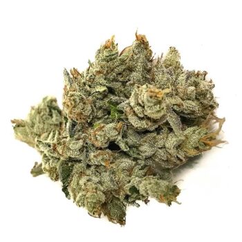 OG Kush TW Marijuana Strain