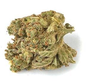 Maui Wowie ZE Marijuana Strain