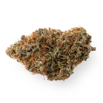 Golden Goat BH Weed Strain