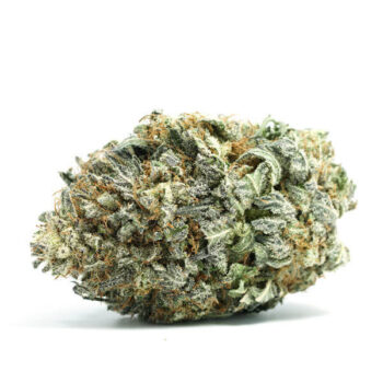 Acapulco Gold BA Cannabis Strain