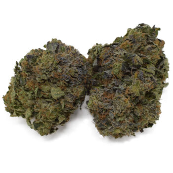 Pine Tar Kush TS Marijuana Strain