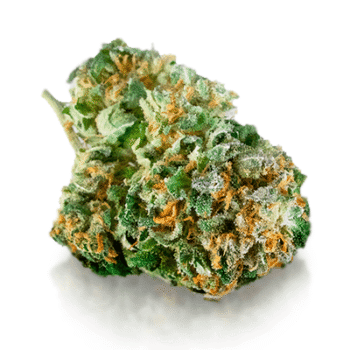 Bubble Gum JE Marijuana Strain