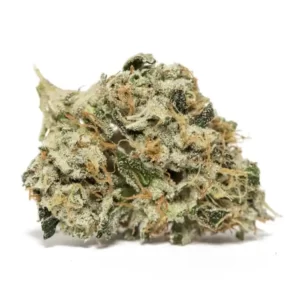 Kosher Kush SN Weed Strain