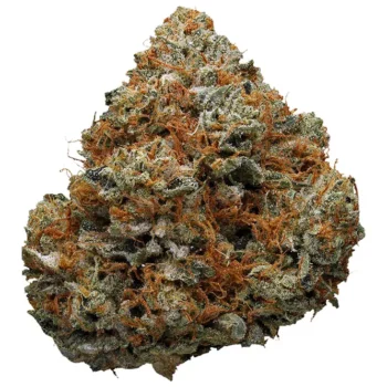 Godfather OG SR Weed Strain