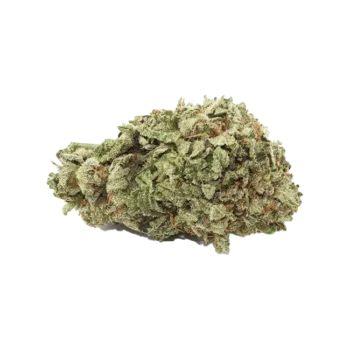 Pink Star Cannabis Strain SM