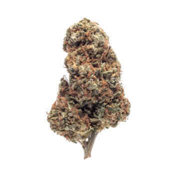 Sour Tangie YO Cannabis Strain