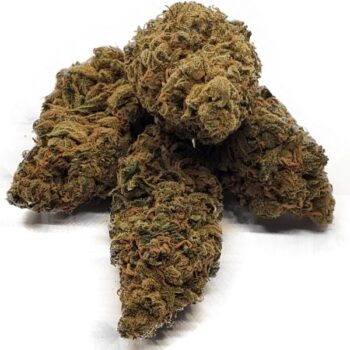 Cannalope Haze IE Marijuana Strain