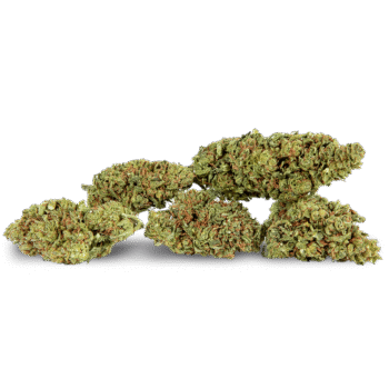 Lifter NPT Delta-8 Hemp Flower