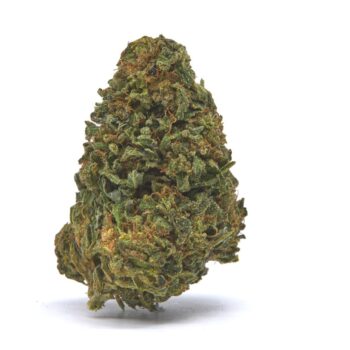 Cherry Abacus CBD TN Hemp Flower