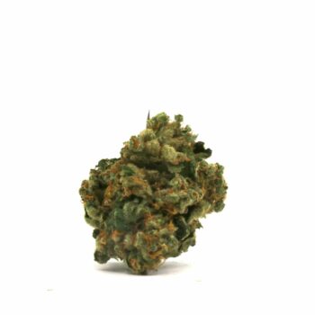 Gloria GLA CBD Hemp Flower