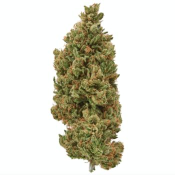 Sour Glue IE Delta 8 Hemp Flower