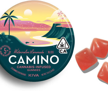 Watermelon Lemonade Camino CV Gummies