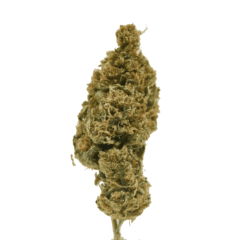 Tokyo CBD TD Hemp Flower