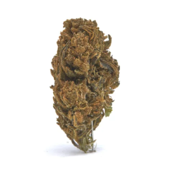 Orange Cookies CBD IE Hemp Flower