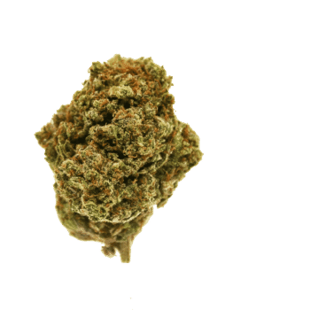 Jungle Cake CBD TW Hemp Flower