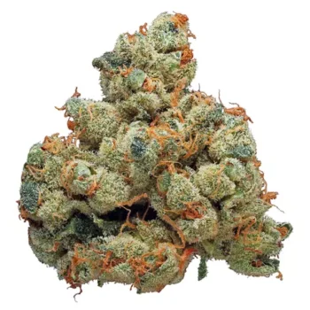 White Fire OG WC Weed Strain