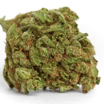 Platinum Bubba Kush SA Marijuana Strain