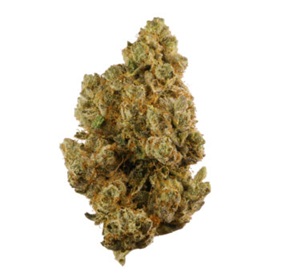 Gummy Bears KW Cannabis Strain