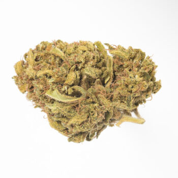 Banjo PR Marijuana Strain