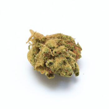 Orange Creamsicle SE Cannabis Strain