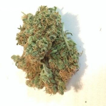 Middlefork IG Cannabis Strain