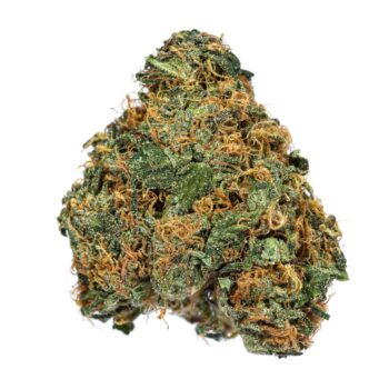 OG shark N Marijuana Strain