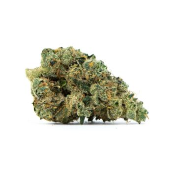 Crescendo SM Marijuana Strain