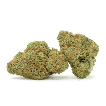 White Rhino HP Weed Strain