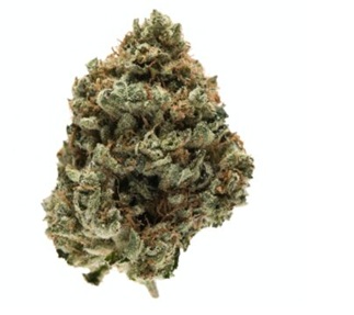 Kosher Cookies NE Weed Strain