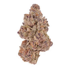 Purple Punch NN Weed Strain