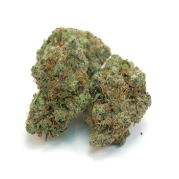 Jack Flash ME Cannabis Strain