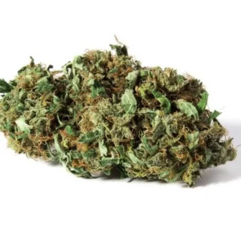 Cherry Wine LN Marijuana Strain