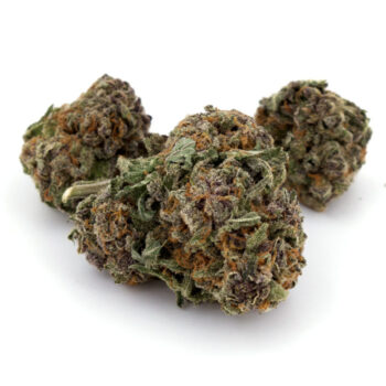 Purple Passion PO Marijuana Strain