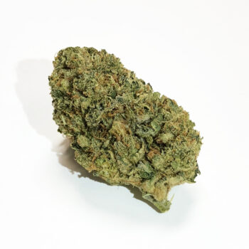 Hell’s Angel MK Weed Strain