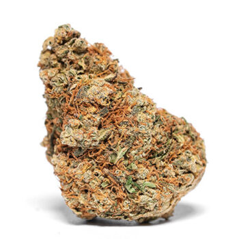 XJ-13 SK Marijuana Strain