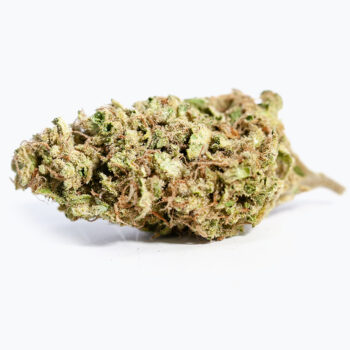 Pucker Punch LS Cannabis Strain