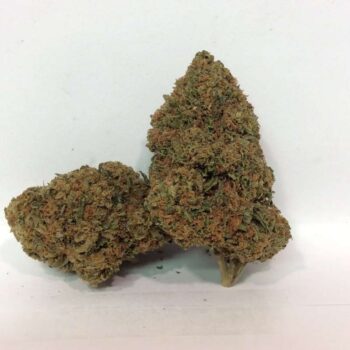 Mango Sapphire L Cannabis Strain