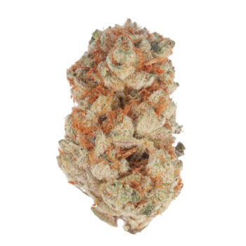 Slurricane SK Weed Strain