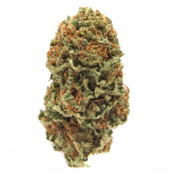 Gelonade PH Cannabis Strain