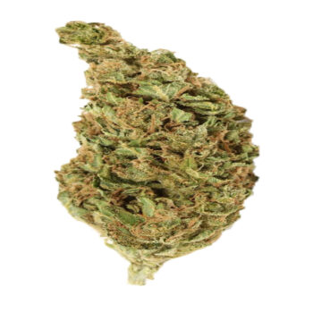 Tahoe OG IE Marijuana Strain