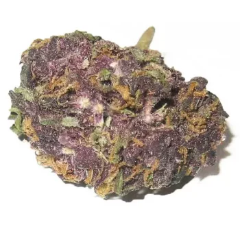 Granddaddy Purple SR Marijuana Strain