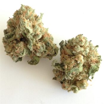White Widow SO Cannabis Strain