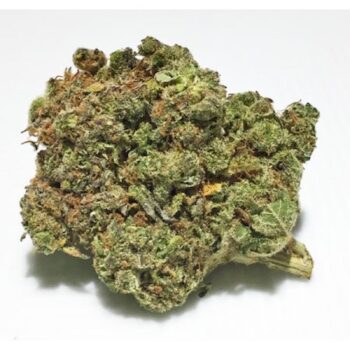 Fortune Cookie IP Weed Strain