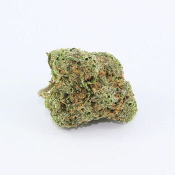 Alien OG SG Cannabis Strain