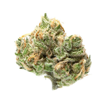 Sweet Skunk CBD WR Weed Strain