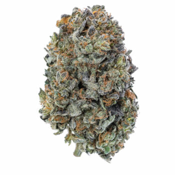 Aurora Indica RM Marijuana Strain