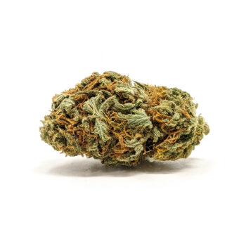 Himalayan Gold IE weed strain