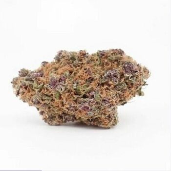 Tropicana Cookies WA Weed Strain