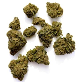 Colorado Chem KY Weed Strain